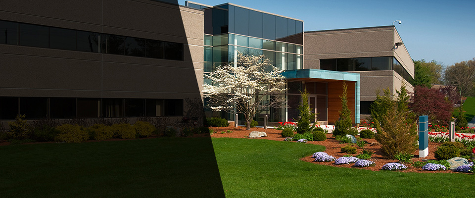 Buzzards Bay Landscapers