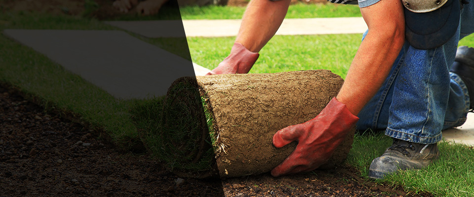 Buzzards Bay Landscapers